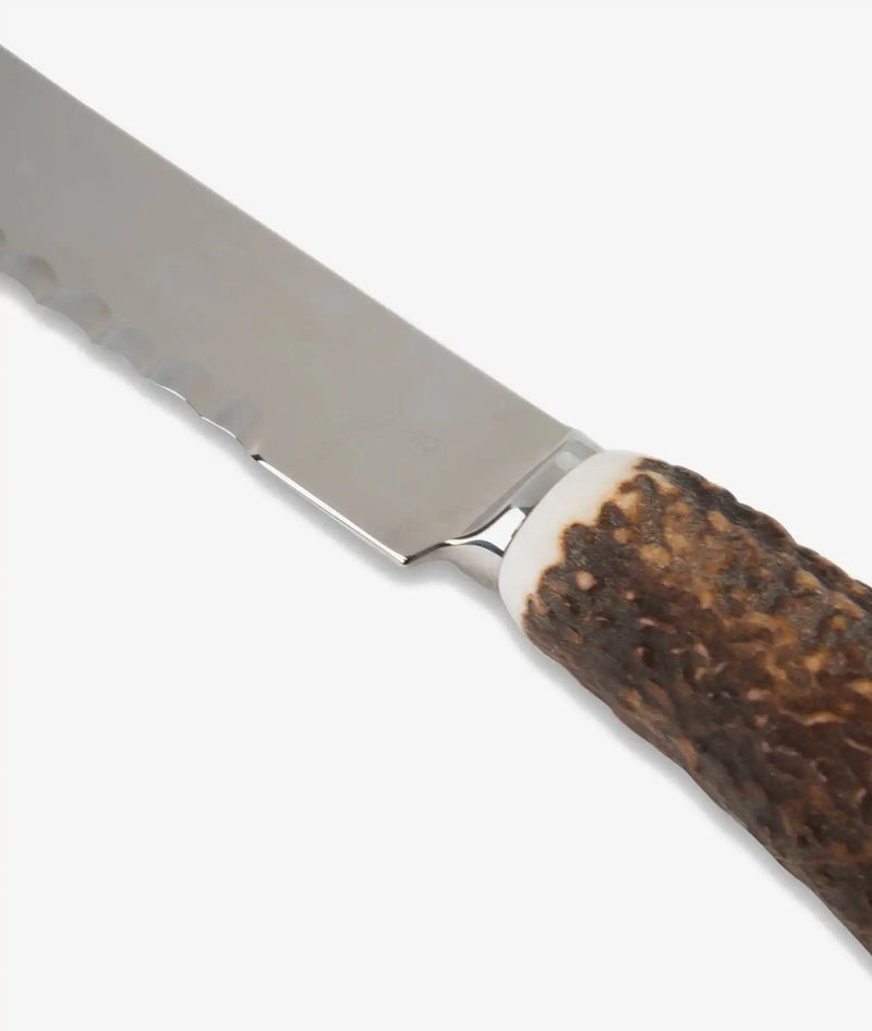 Panettone knife Panetùn