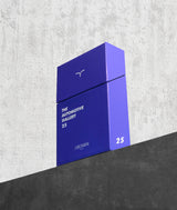 The Automotive Gallery - 25. Lotus Theory 1