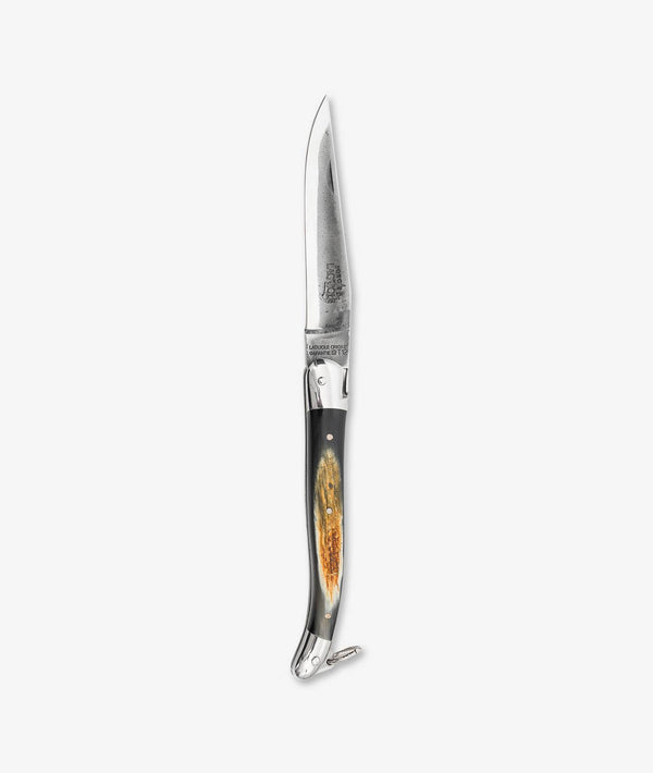 Folding pocket knife "Aubrac"