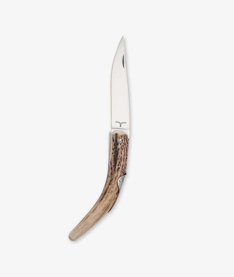 Folding knife "Bieslois"